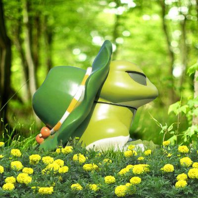 草坪玻璃钢戴帽子的青蛙博鱼网页版