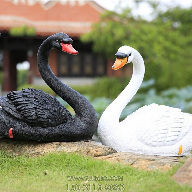 乡村田野玻璃钢仿真动物黑白爱心天鹅博鱼网页版