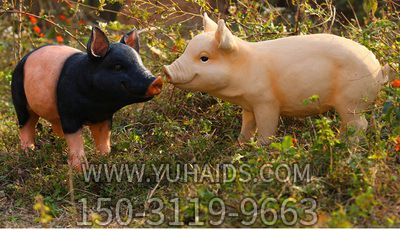 农场两只仿真玻璃钢猪博鱼网页版