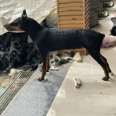 玻璃钢仿真狗，动物狗博鱼网页版