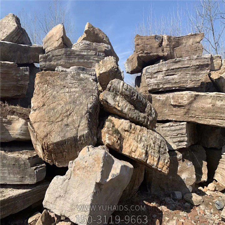 户外园林大型天然石头龟纹石博鱼网页版