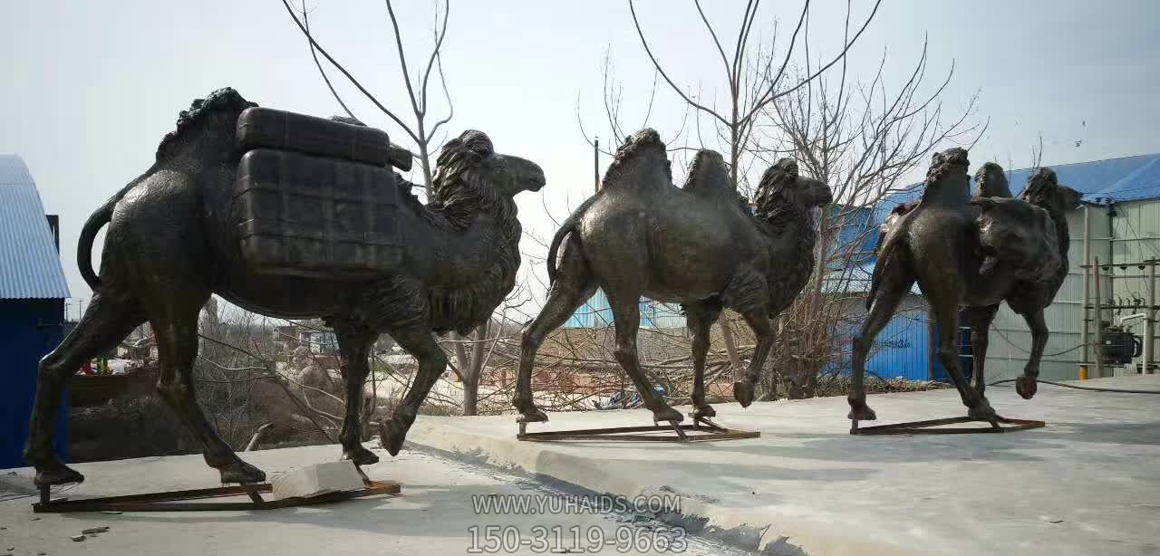 街道边摆放的三只行走的玻璃钢创意骆驼博鱼网页版