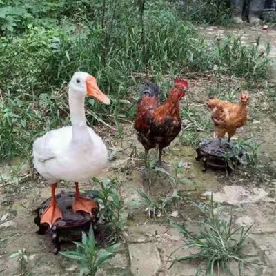 园林户外仿真动物博鱼网页版