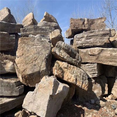 户外园林大型天然石头龟纹石