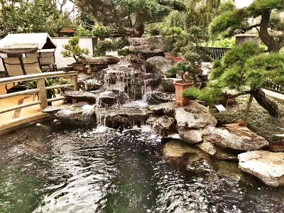 花园景观假山石水池景观博鱼网页版
