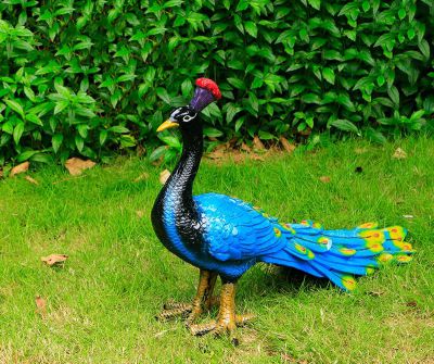 草地上一只生气的玻璃钢彩绘看那个却博鱼网页版