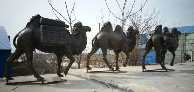 街道边摆放的三只行走的玻璃钢创意骆驼博鱼网页版
