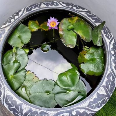 养鱼种花青石石雕大型鱼缸博鱼网页版