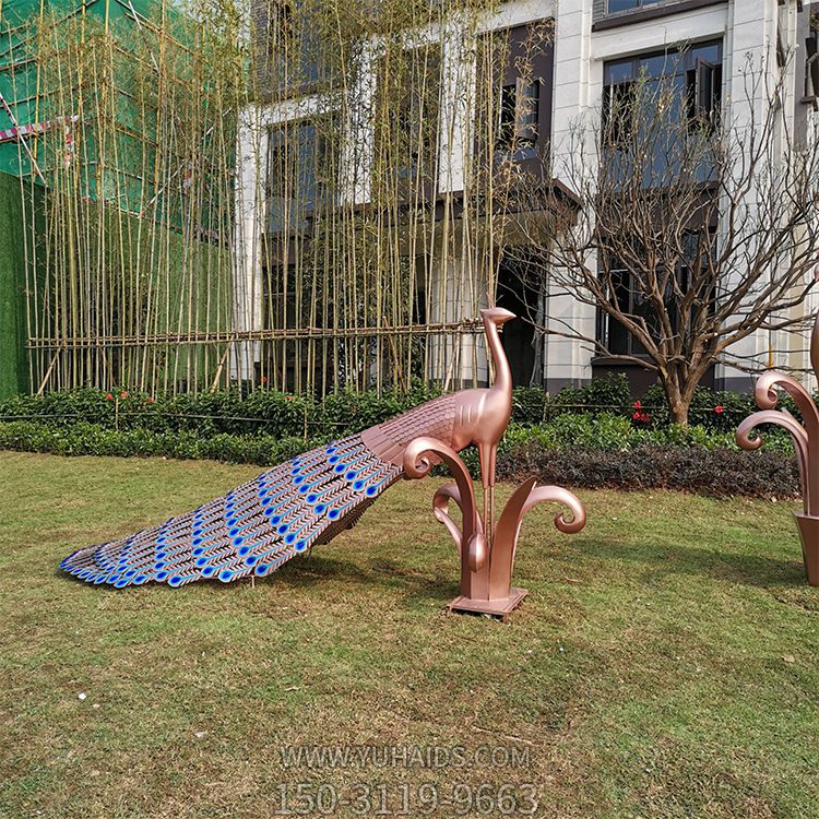 草坪上一只拖着半开尾巴的不锈钢镂空孔雀博鱼网页版