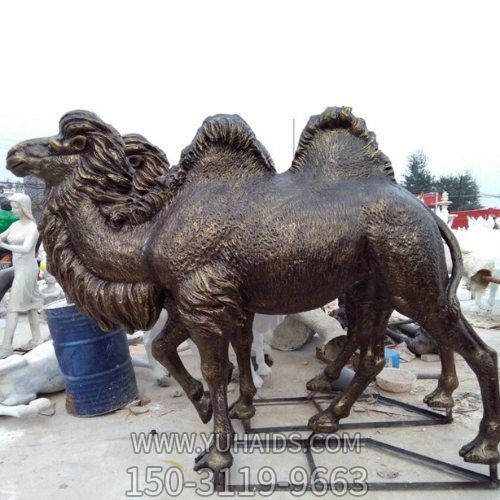 玻璃钢仿铜户外景区大型仿真骆驼博鱼网页版