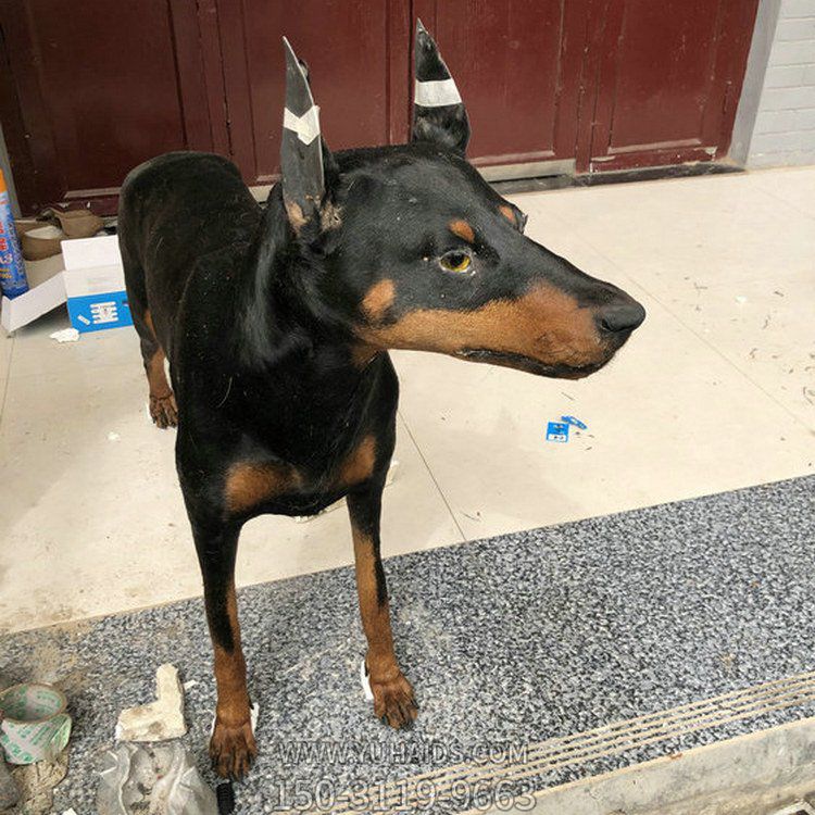 玻璃钢皮毛仿真动物狗小品展览馆摆件博鱼网页版