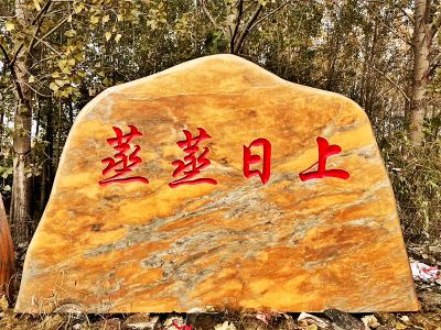 村庄摆放雕刻字黄蜡石景观博鱼网页版