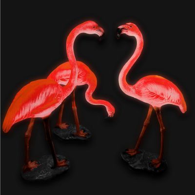 酒店摆放姿态各异的玻璃钢火烈鸟博鱼网页版