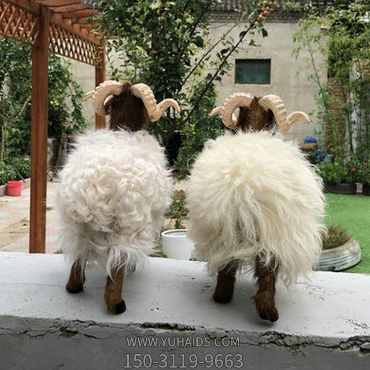 游乐园装饰卡通动物博鱼网页版 照相馆摆件仿真动物 博鱼网页版