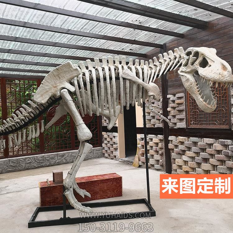 大型全新仿真恐龙骨架骨骼化石玻璃钢景区博物馆恐龙博鱼网页版