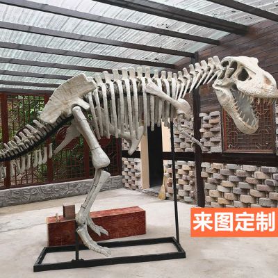 大型全新仿真恐龙骨架骨骼化石玻璃钢景区博物馆恐龙博鱼网页版