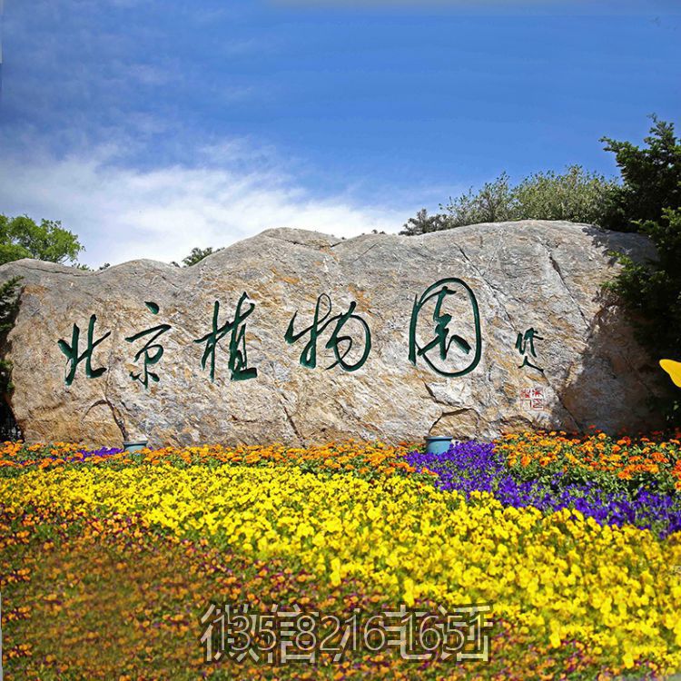 植物园景观自然石