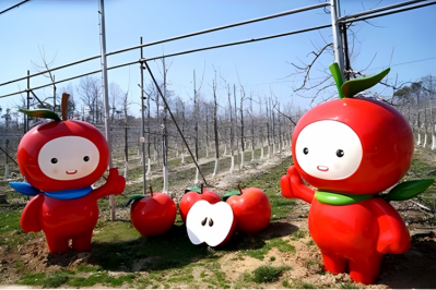 卡通苹果博鱼网页版