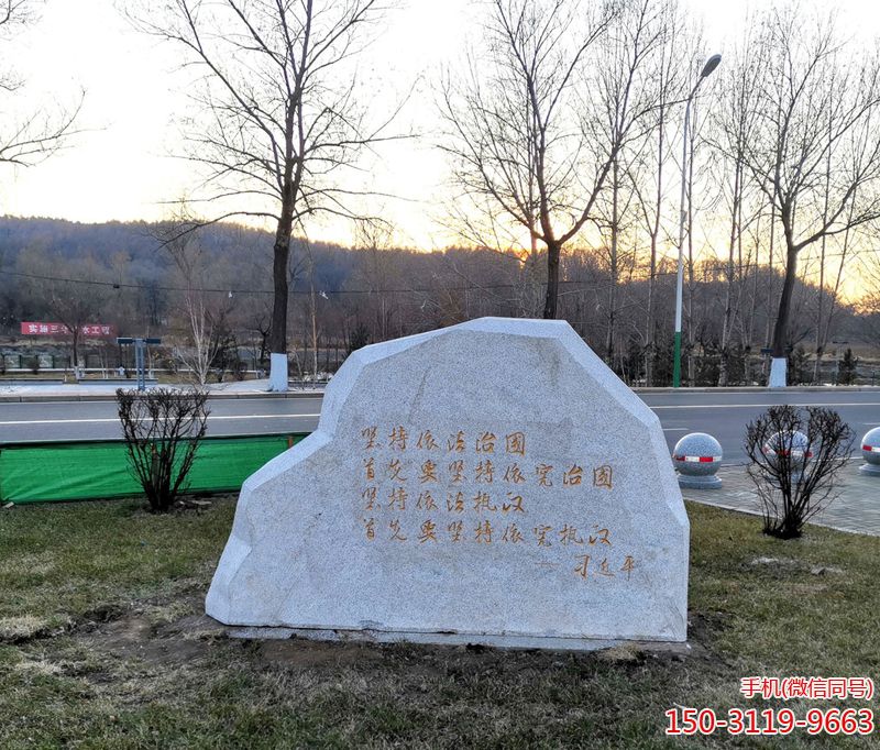 坚持依法治国首先要以宪制国 坚持依法治国首先要以宪制国