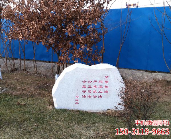 宪法只有不断适应新形势才能具有持久生命力 宪法只有不断适应新形势才能具有持久生命力