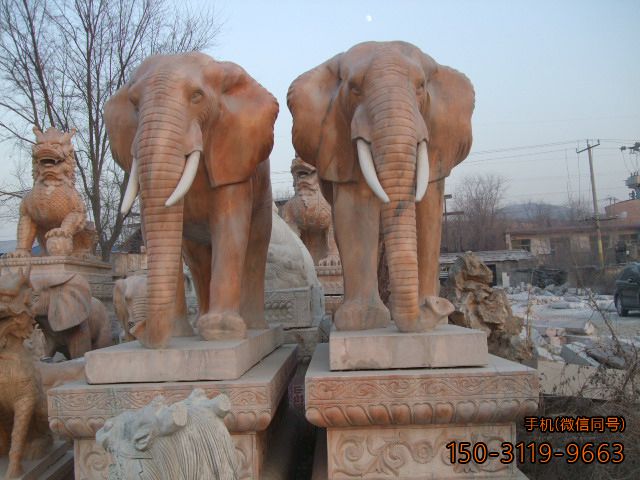 大理石大象博鱼网页版