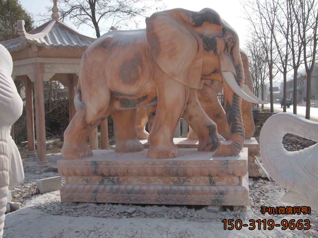 很大的大象博鱼网页版