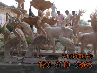 各种各样的晚霞红仙鹤石雕