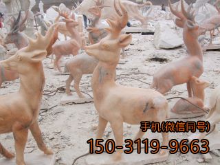 动物鹿博鱼网页版