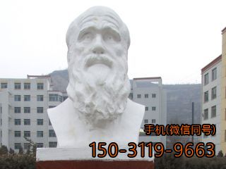 生物学家达尔文头像博鱼网页版