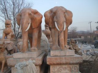 浅谈石雕大象的文化寓意
