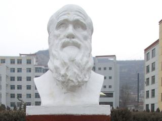 石雕公鸡的简介及寓意