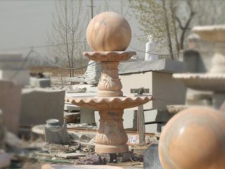 博鱼网页版的种类有哪些？？