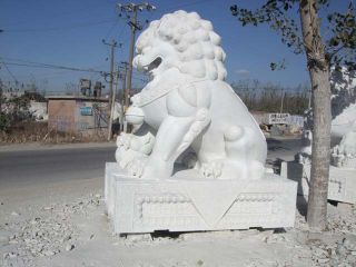 门前摆放石狮子的讲究和寓意