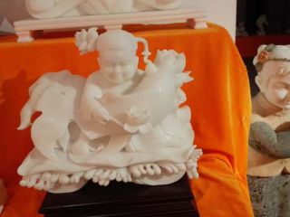 如何欣赏博鱼网页版？